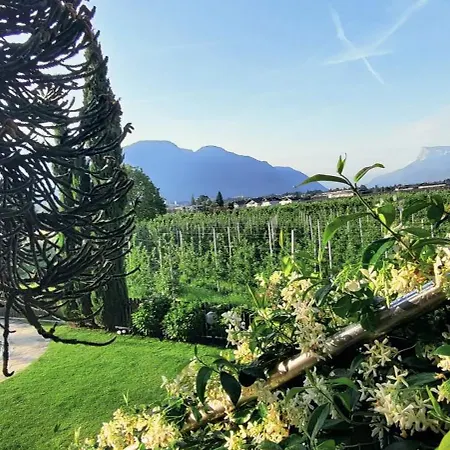 Отель Elisabeth